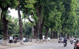 [ẢNH] Lạc lối giữa những con đường lãng mạn như phim trường